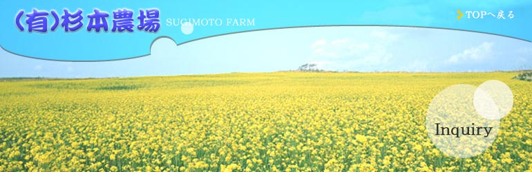 ���{�_��F���₢���킹