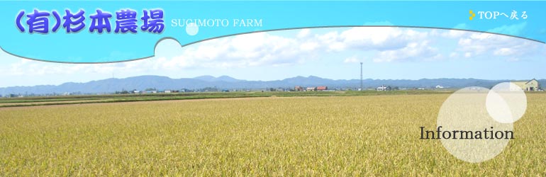 ���{�_��F�_���Љ�