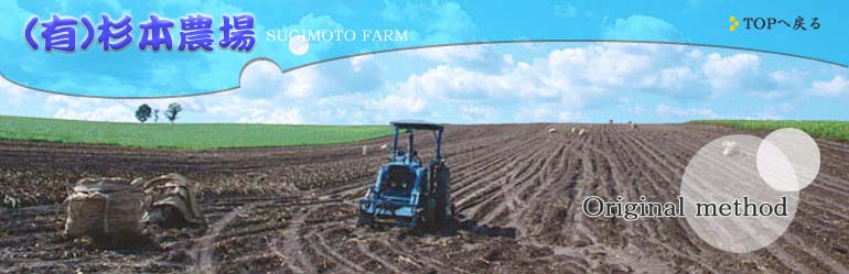 (�L)���{�_��F�č��ւ̂������