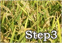 Step3