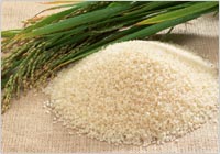 �k�C����